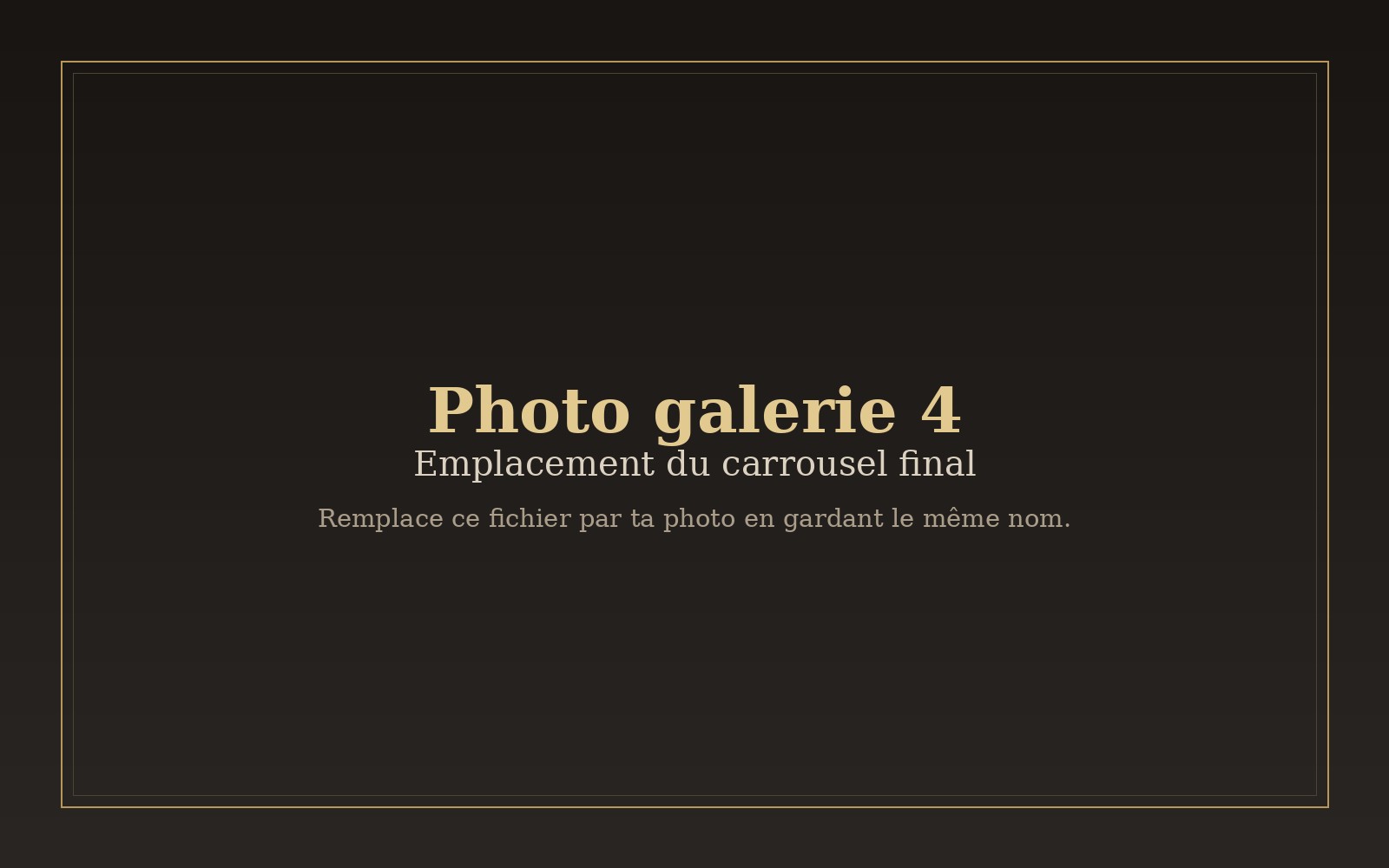 Photo 4 du carrousel à remplacer
