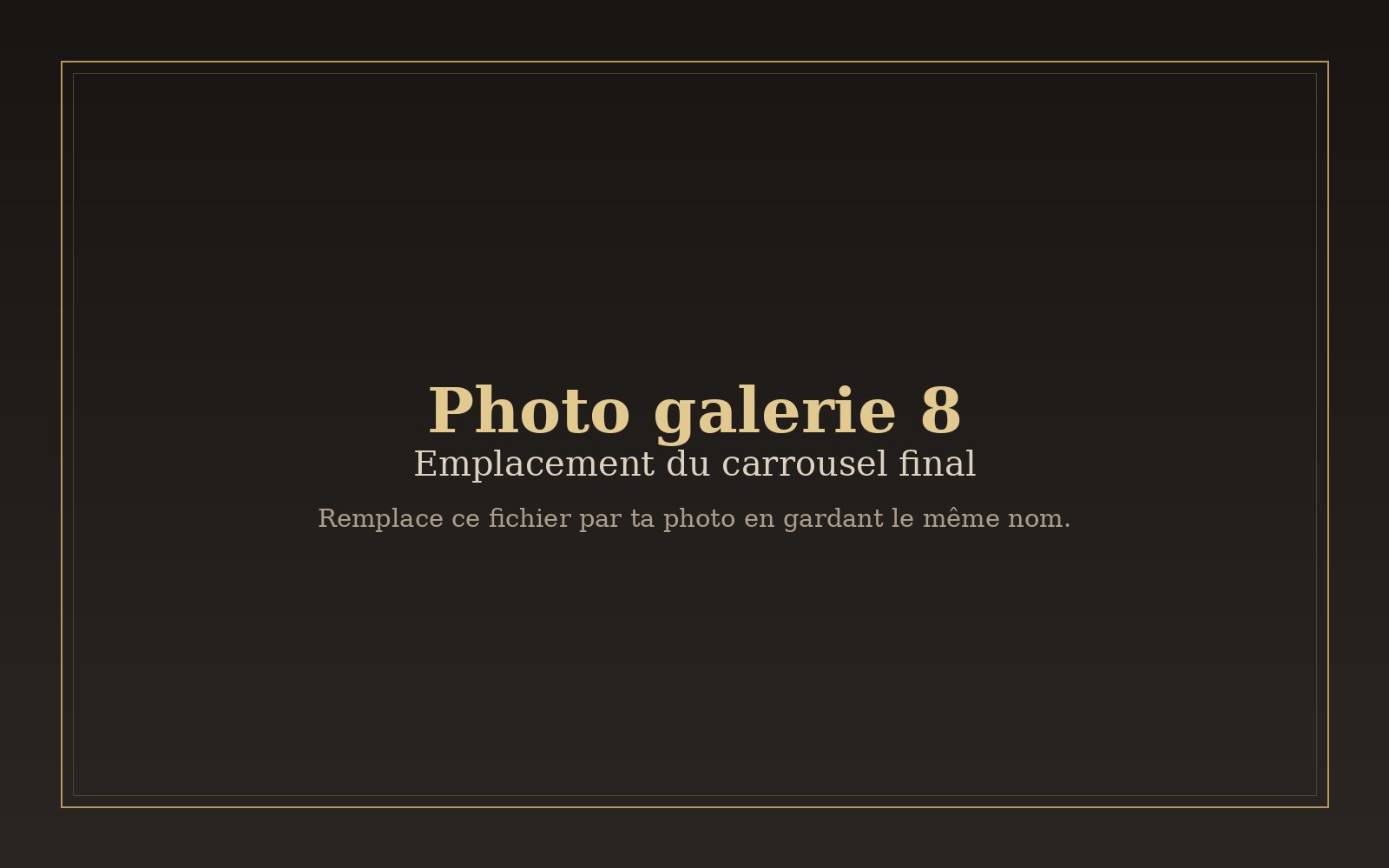 Photo 8 du carrousel à remplacer