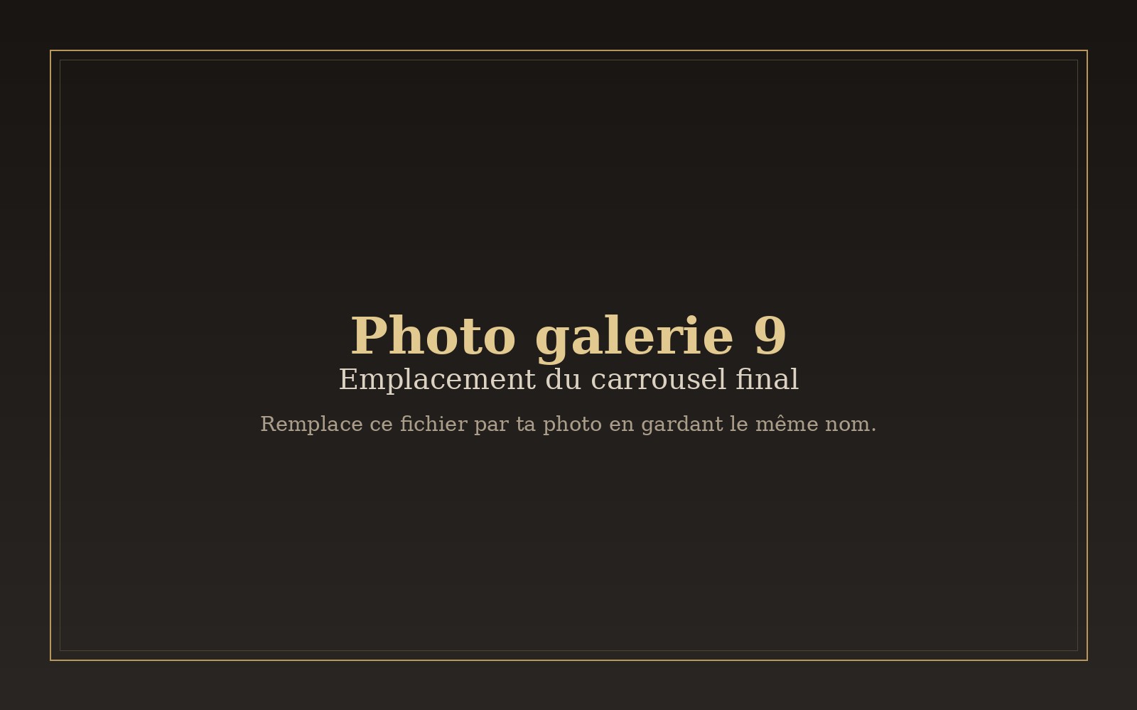 Photo 9 du carrousel à remplacer