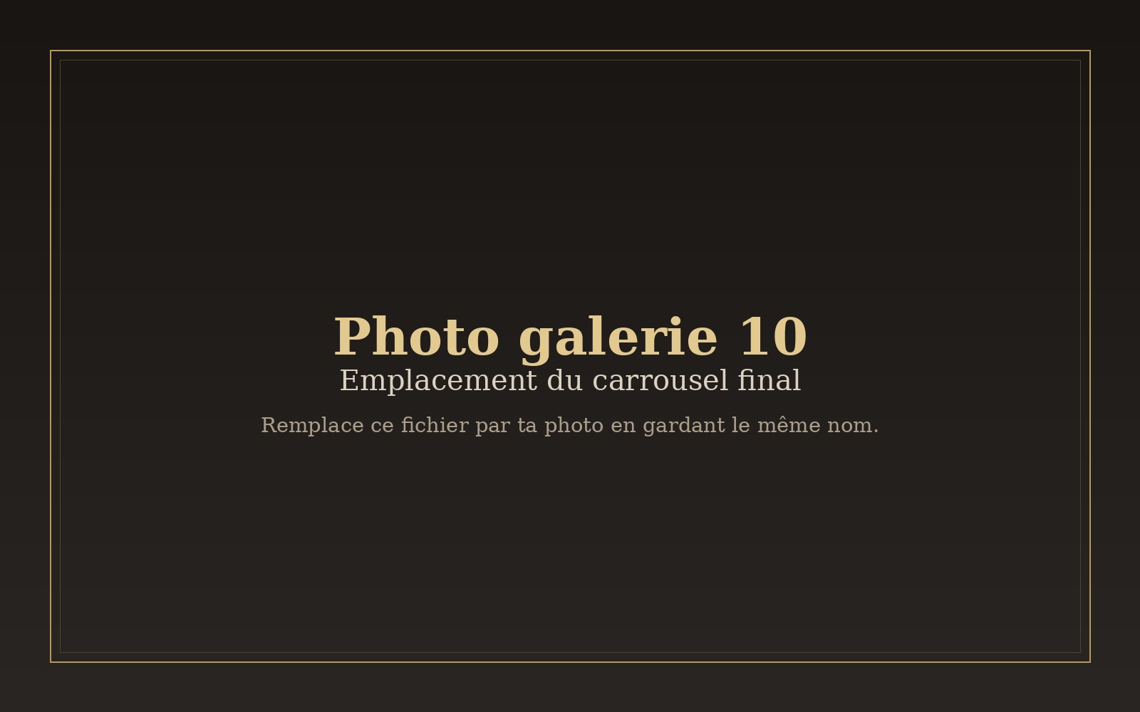 Photo 10 du carrousel à remplacer